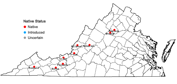 Locations ofLeucodon andrewsianus (H.A. Crum & L.E. Anderson) W.D. Reese & L.E. Anderson in Virginia