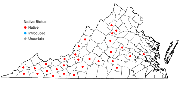 Locations ofLeucodon brachypus Bridel in Virginia