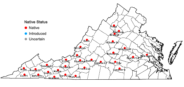 Locations ofLeucodon brachypus Bridel in Virginia