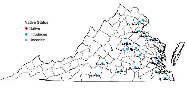 Locations ofLeucojum aestivum L. in Virginia