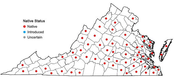 Locations ofLeucolejeunea clypeata (Schwein.) A. Evans in Virginia
