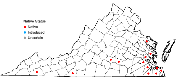 Locations ofLeucolejeunea conchifolia (A. Evans) A. Evans in Virginia