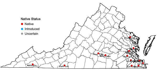 Locations ofLeucolejeunea conchifolia (A. Evans) A. Evans in Virginia