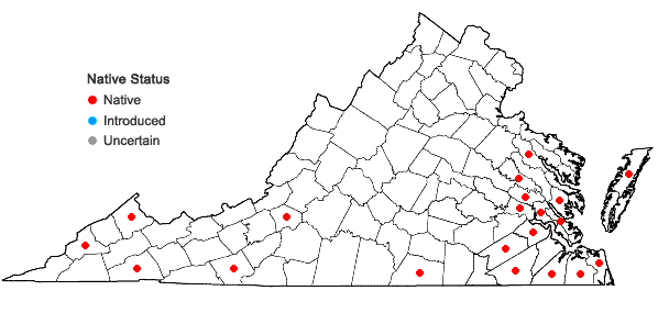Locations ofLeucolejeunea unciloba (Lindenb.) A. Evans in Virginia
