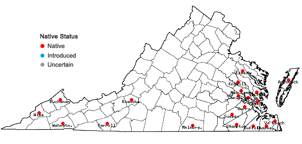 Locations ofLeucolejeunea unciloba (Lindenb.) A. Evans in Virginia