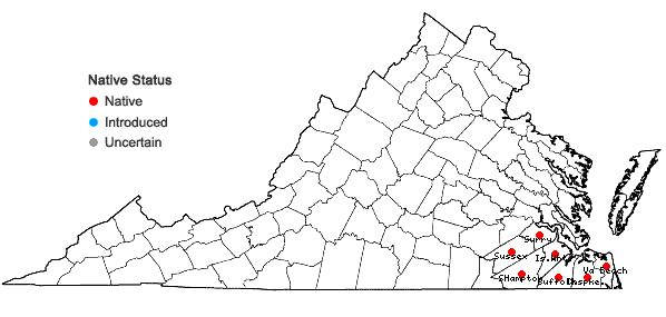Locations ofLeucothoe axillaris (Lam.) D. Don in Virginia