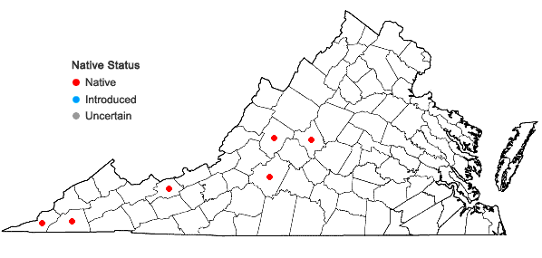 Locations ofLeucothoe fontanesiana (Steud.) Sleumer in Virginia
