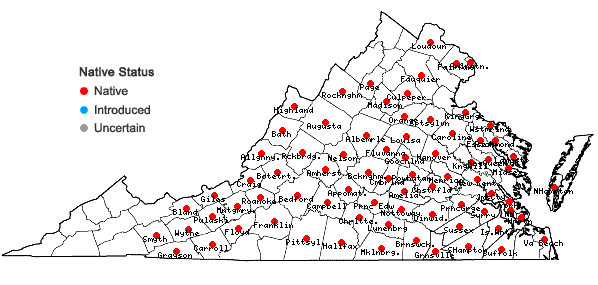 Locations ofLiatris pilosa (Aiton) Willd. in Virginia