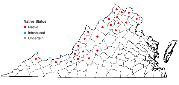 Locations ofLiatris scariosa (L.) Willd. in Virginia