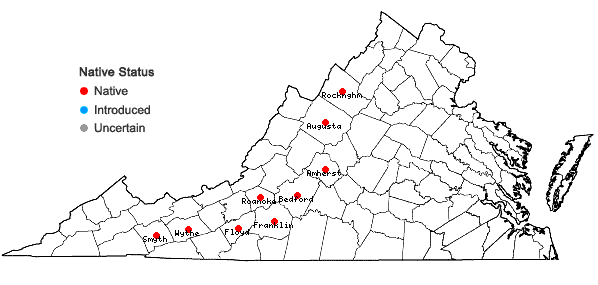Locations ofLiatris virgata Nuttall in Virginia