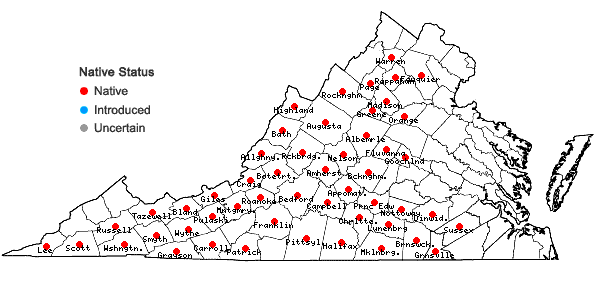 Locations ofLigusticum canadense (L.) Britt. in Virginia