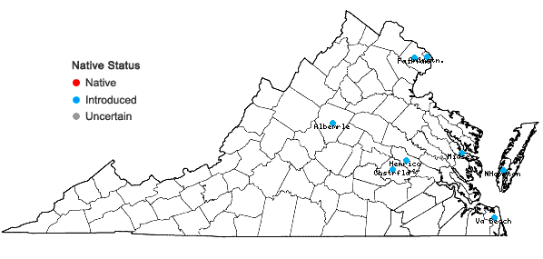 Locations ofLigustrum japonicum Thunb. in Virginia
