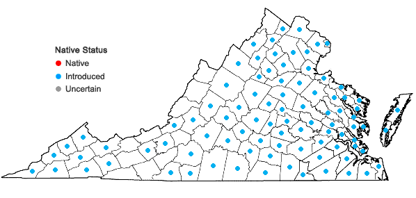 Locations ofLigustrum sinense Louriere in Virginia