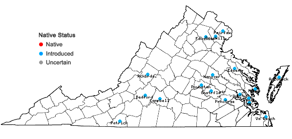 Locations ofLigustrum vulgare L. in Virginia