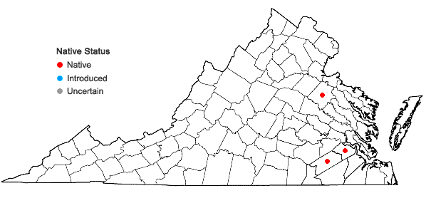Locations ofLilium pyrophilum M.W. Skinner & Sorrie in Virginia