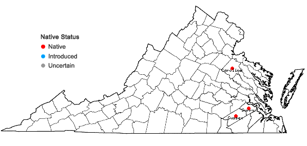 Locations ofLilium pyrophilum M.W. Skinner & Sorrie in Virginia