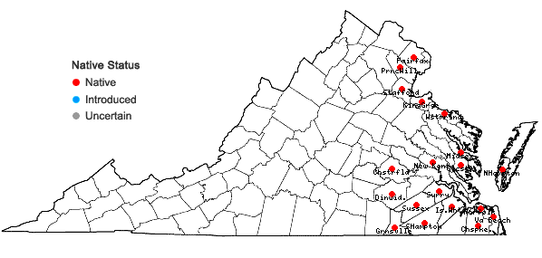 Locations ofLimnobium spongia (Bosc) L.C.Rich. ex Steud. in Virginia