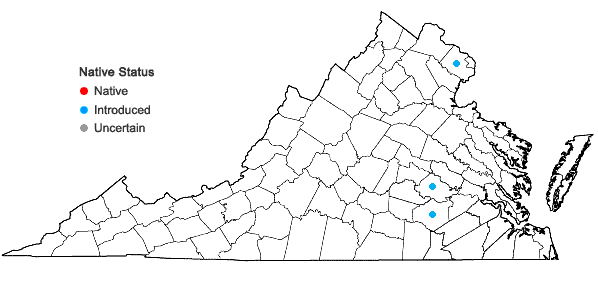 Locations ofLinaria maroccana Hook. f. in Virginia