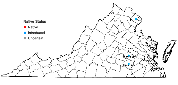 Locations ofLinaria maroccana Hook. f. in Virginia