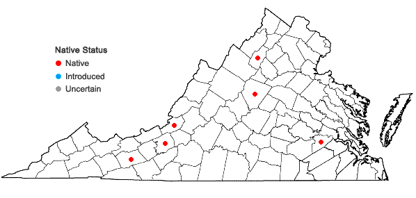 Locations ofLindbergia brachyptera (Mitt.) Kindb. in Virginia