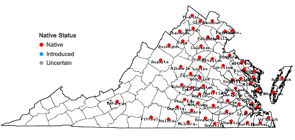 Locations ofLindernia dubia (L.) Pennell var. anagallidea (Michx.) Cooperrider in Virginia