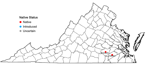 Locations ofLinum floridanum (Planch.) Trel. var. floridanum in Virginia