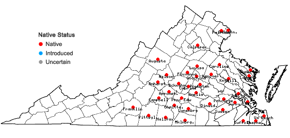 Locations ofLinum intercursum Bickn. in Virginia