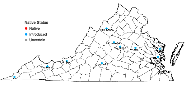 Locations ofLinum usitatissimum L. in Virginia