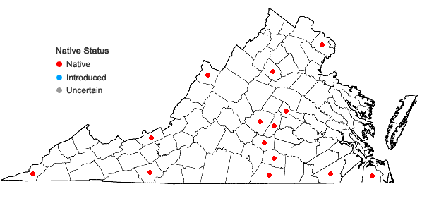 Locations ofLiochlaena lanceolata Nees in Virginia