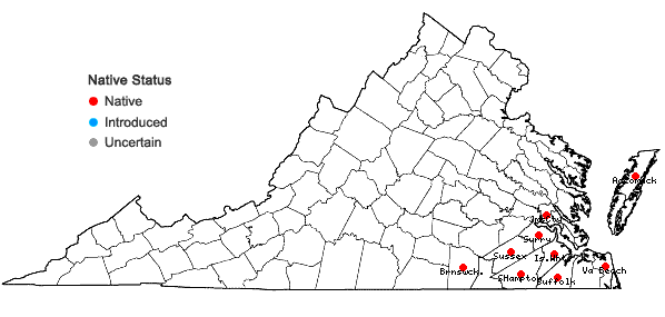 Locations ofLipocarpha maculata (Michaux) Torrey in Virginia