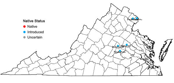 Locations ofLiriope spicata Lour. in Virginia
