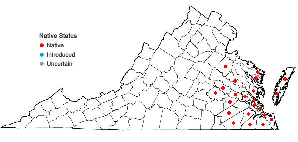 Locations ofListera australis Lindl. in Virginia