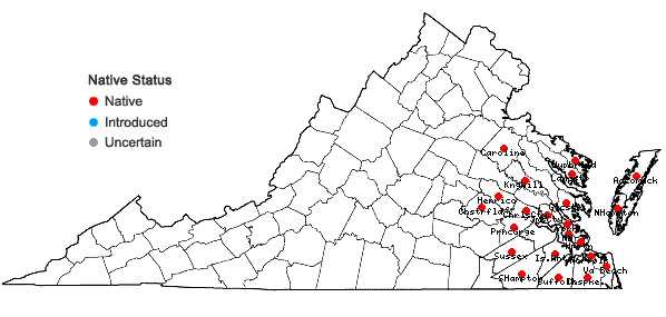 Locations ofListera australis Lindl. in Virginia