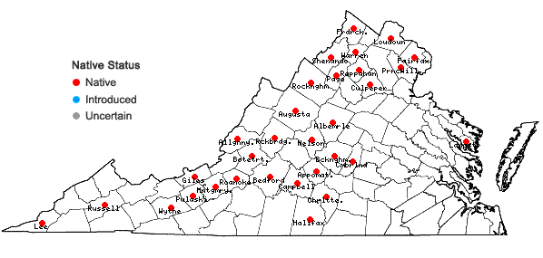 Locations ofLithospermum canescens (Michx.) Lehm. in Virginia