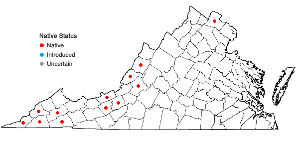 Locations ofLithospermum latifolium Michx. in Virginia