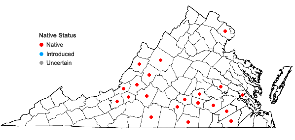 Locations ofLithospermum virginianum L. in Virginia