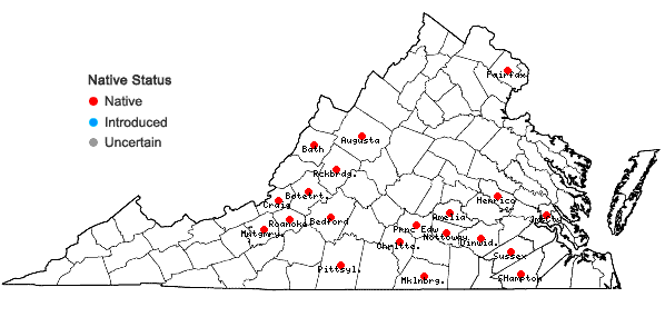 Locations ofLithospermum virginianum L. in Virginia