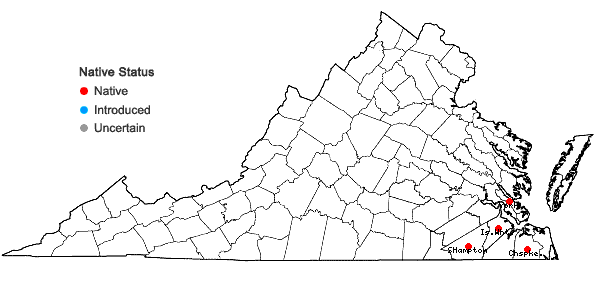 Locations ofLitsea aestivalis (L.) Fern. in Virginia