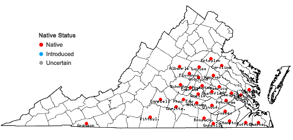 Locations ofLobelia georgiana McVaugh in Virginia