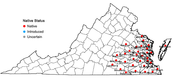 Locations ofLobelia nuttallii J. A.Schultes in Virginia
