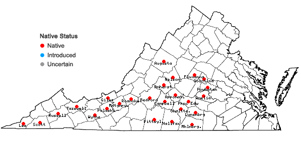 Locations ofLobelia spicata Lam. var. spicata in Virginia