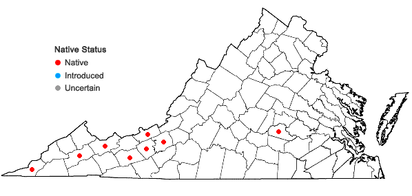 Locations ofLobelia spicata Lam. var. leptostachys (A. DC.) Mackenzie & Bush in Virginia