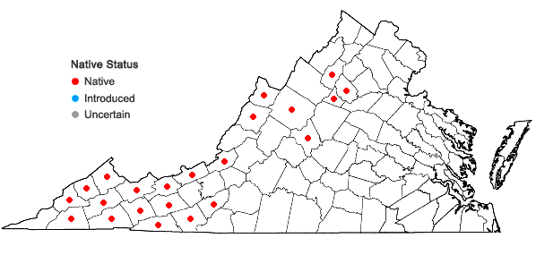 Locations ofLoeskeobryum brevirostre (Brid.) M. Fleisch. ex Broth. in Virginia