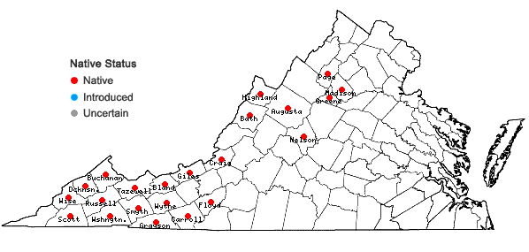 Locations ofLoeskeobryum brevirostre (Brid.) M. Fleisch. ex Broth. in Virginia