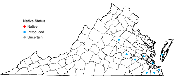 Locations ofLolium temulentum L. in Virginia