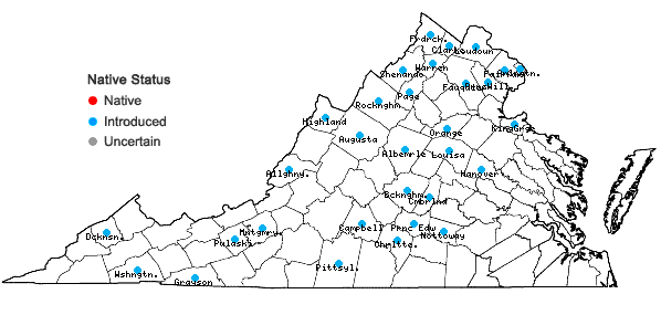 Locations ofLonicera morrowii Gray in Virginia