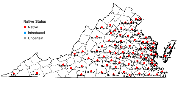 Locations ofLonicera sempervirens L. in Virginia