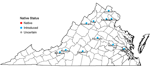 Locations ofLonicera tatarica L. in Virginia