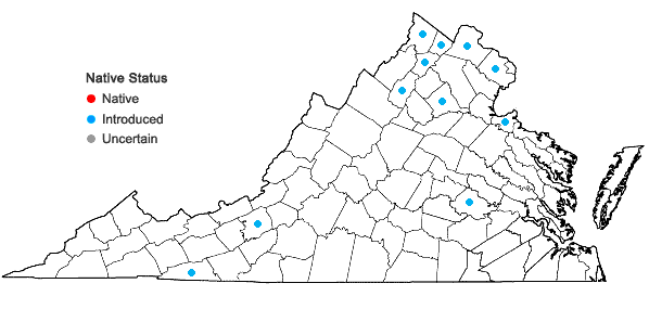 Locations ofLonicera xylosteum L. in Virginia