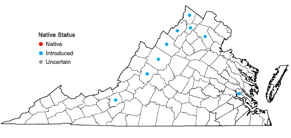 Locations ofLonicera ×bella Zabel in Virginia